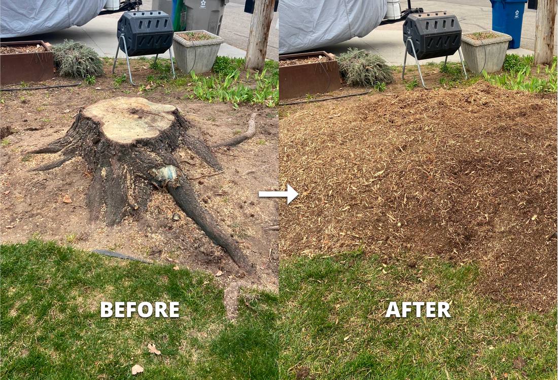 Before and after photo of a stump ground down and the yard restored on a Boise, ID job